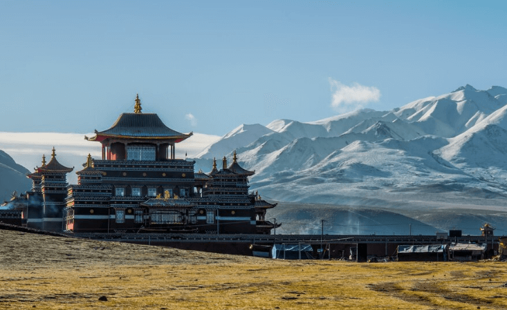 蒙古国海关数据查询平台（附免费试用查询平台）